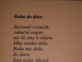sdc13447.jpg