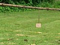 dsc_0386.jpg