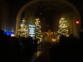 dsc01205.jpg
